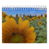 Calendrier Tournesol (Protection)