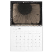Calendrier Tournesol Vintage 2013 (Jan 2026)