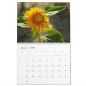 Calendrier Tournesols (Jan 2027)