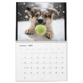 Calendrier Tous les ans Tennis et Chiens (Jan 2027)