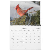 Calendrier Tous les cardinaux (Mar 2026)