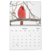 Calendrier Tous les cardinaux (Jan 2026)