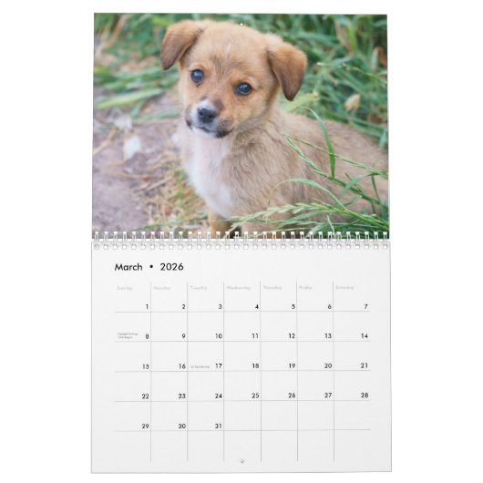 Calendrier Tous les Chiens 2025 Chien Chien Chien 2025 Calend (Mar 2026)