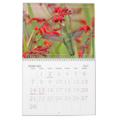 Calendrier Tous les oiseaux de mer (Feb 2027)