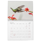 Calendrier Tous les oiseaux de mer (Jan 2027)