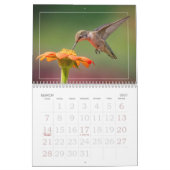 Calendrier Tous les oiseaux de mer (Mar 2027)
