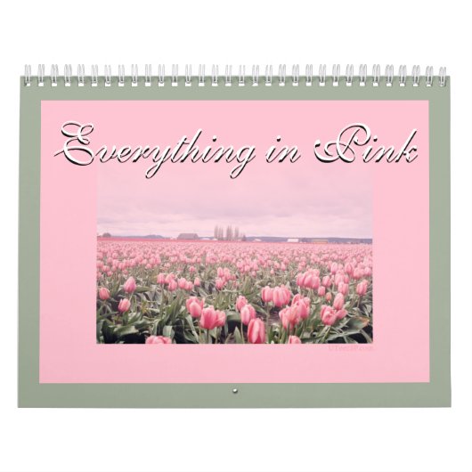 Calendrier Tout est en rose 2018 (Protection)