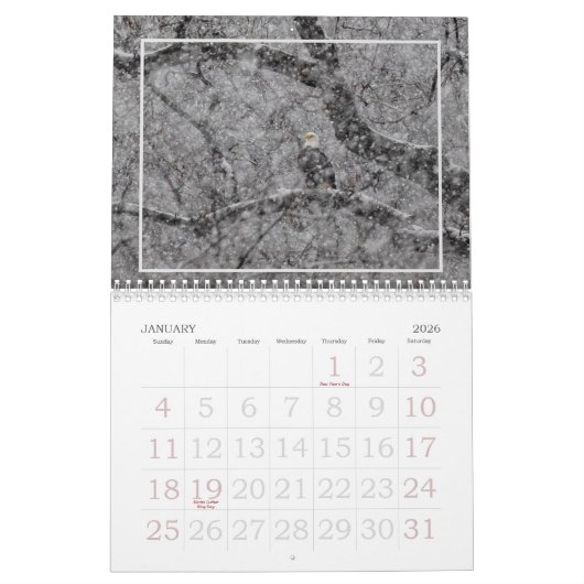 CALENDRIER TOUTE L'ANNÉE (Jan 2026)