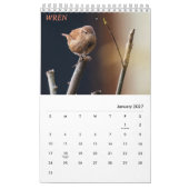Calendrier Toutes sortes de Beaux Oiseaux de la Nature Calend (Jan 2027)