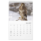 Calendrier Toutes sortes de Beaux Oiseaux de la Nature Calend (Mar 2027)
