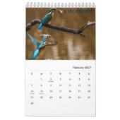 Calendrier Toutes sortes de Beaux Oiseaux de la Nature Calend (Feb 2027)