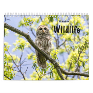 Calendrier Toutes Sortes De Faune