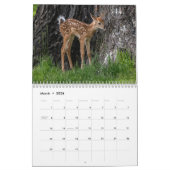 Calendrier Toutes Sortes De Faune (Mar 2026)