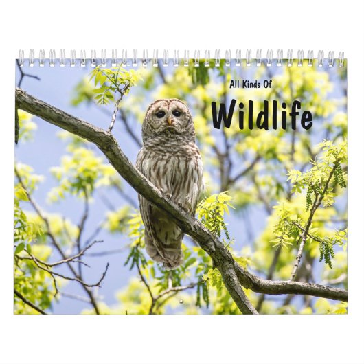 Calendrier Toutes Sortes De Faune (Protection)