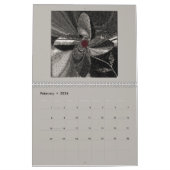 Calendrier "Treasure Cove du concepteur" (Deux pag (Feb 2026)