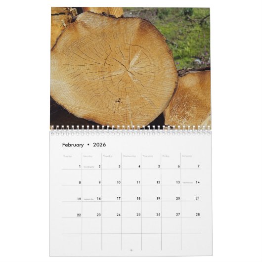 Calendrier Tree trunks uprooted - dead - felled (Feb 2026)