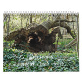 Calendrier Tree trunks uprooted - dead - felled (Protection)