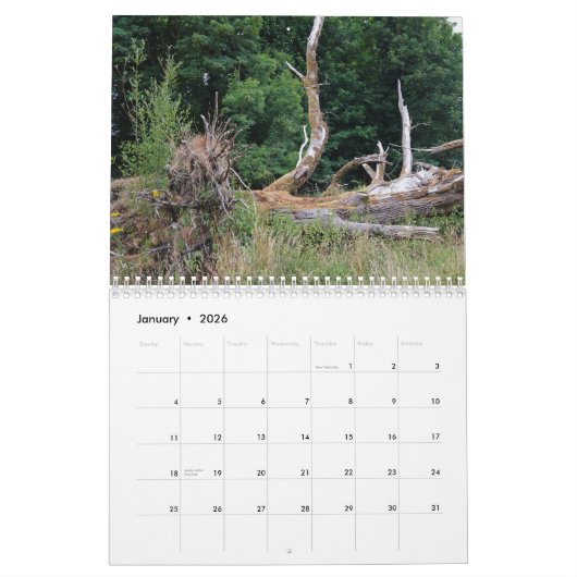 Calendrier Tree trunks uprooted - dead - felled (Jan 2026)