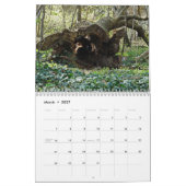 Calendrier Tree trunks uprooted - dead - felled (Mar 2027)