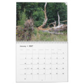 Calendrier Tree trunks uprooted - dead - felled (Jan 2027)
