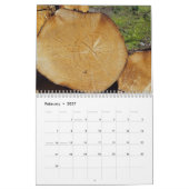 Calendrier Tree trunks uprooted - dead - felled (Feb 2027)