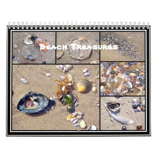 Calendrier - Trésors de plage (Protection)