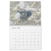Calendrier - Trésors de plage (Jan 2027)
