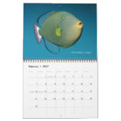 Calendrier Triggerfish Wall Calendar de J.W. Patrie. (Feb 2027)