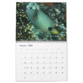 Calendrier Triggerfish Wall Calendar de J.W. Patrie. (Jan 2027)
