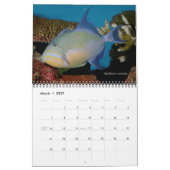 Calendrier Triggerfish Wall Calendar de J.W. Patrie. (Mar 2027)
