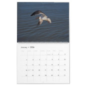 Calendrier Tropical 2025, Oiseaux De Plage Au Para (Jan 2026)