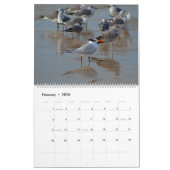 Calendrier Tropical 2025, Oiseaux De Plage Au Para (Feb 2026)