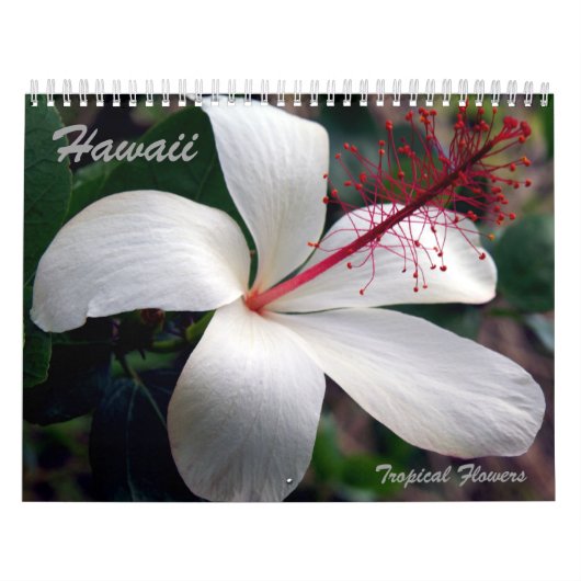 Calendrier tropical de fleurs d'Hawaï (Protection)
