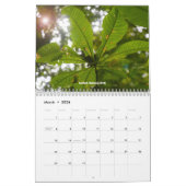 Calendrier tropical de forêts tropicales (Mar 2026)