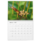 Calendrier tropical des arts de l'île (Feb 2027)