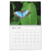 Calendrier tropical du Costa Rica 2010 - 2011 (Feb 2026)