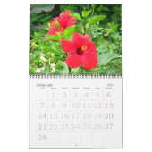 Calendrier Tropical Hibiscus Flowers (Feb 2027)