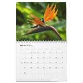 Calendrier Tropical Life with Beautiful Beach Photos (Feb 2027)