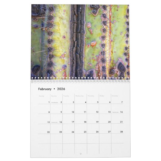 Calendrier TUCSON 2022 (Feb 2026)