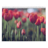Calendrier Tulipe élégante et fleurs florales Roses Photograp (Protection)
