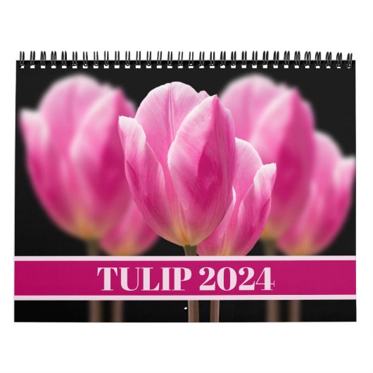 Calendrier Tulipe élégante et fleurs florales Roses Photograp (Protection)
