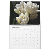Calendrier Tulipes (Jan 2027)