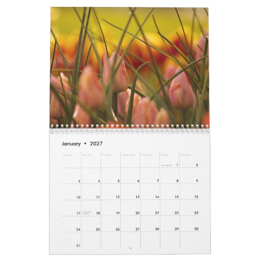 CALENDRIER TULIPES DE VALLÉE DE SKAGIT (Jan 2027)