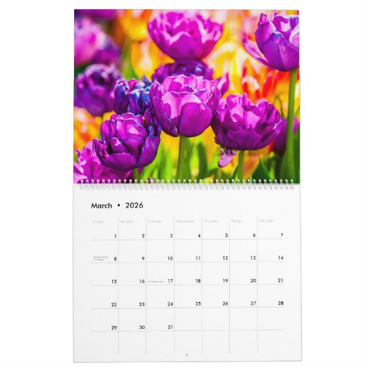 Calendrier Tulipes Enchanter belle (Mar 2026)