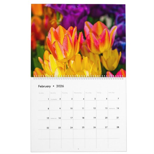 Calendrier Tulipes Enchanter belle (Feb 2026)