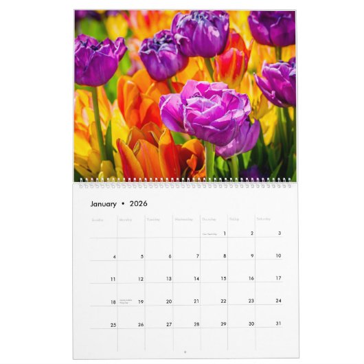 Calendrier Tulipes Enchanter belle (Jan 2026)