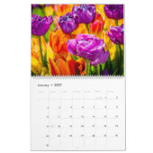 Calendrier Tulipes Enchanter belle (Jan 2027)