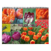 Calendrier tulips only (Protection)