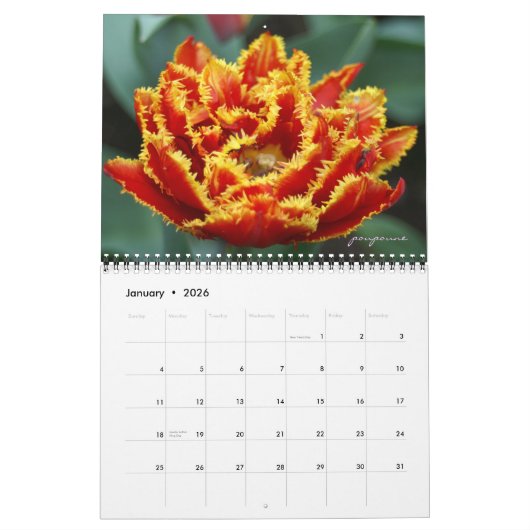 Calendrier tulips only (Jan 2026)