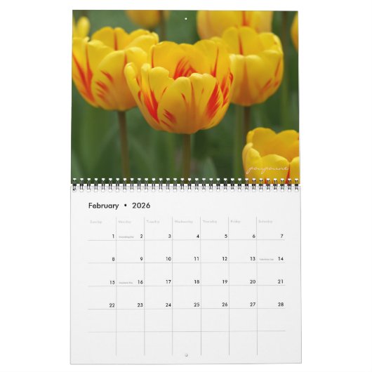 Calendrier tulips only (Feb 2026)